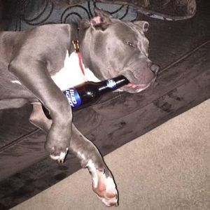 Meet your Posher, Sylvie